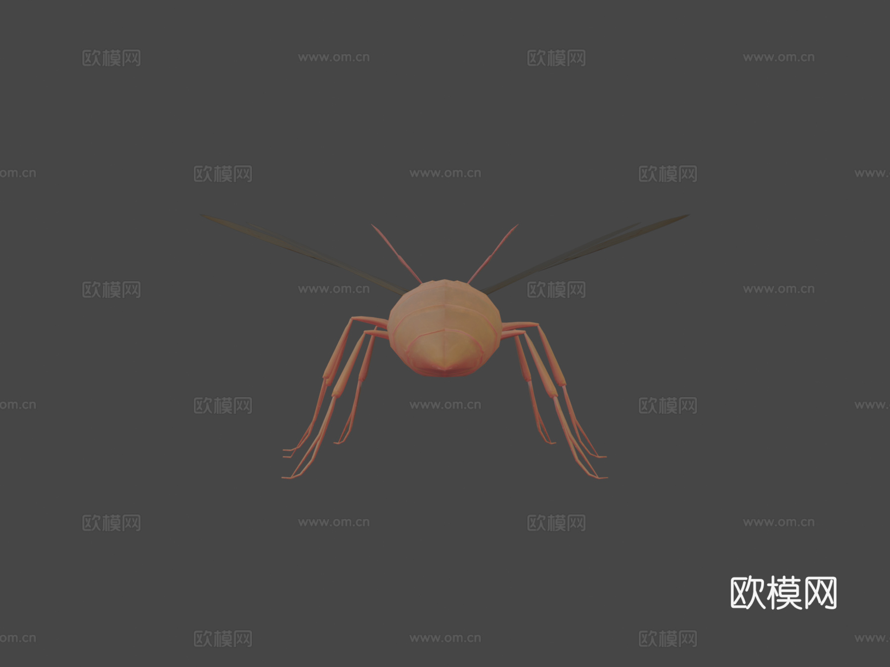 RT  蚂蚁  023d模型下载（渲染图5）