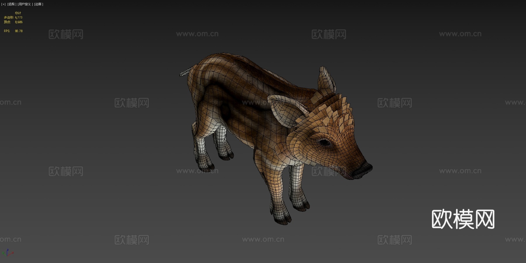 野猪幼崽3d模型下载（渲染图4）