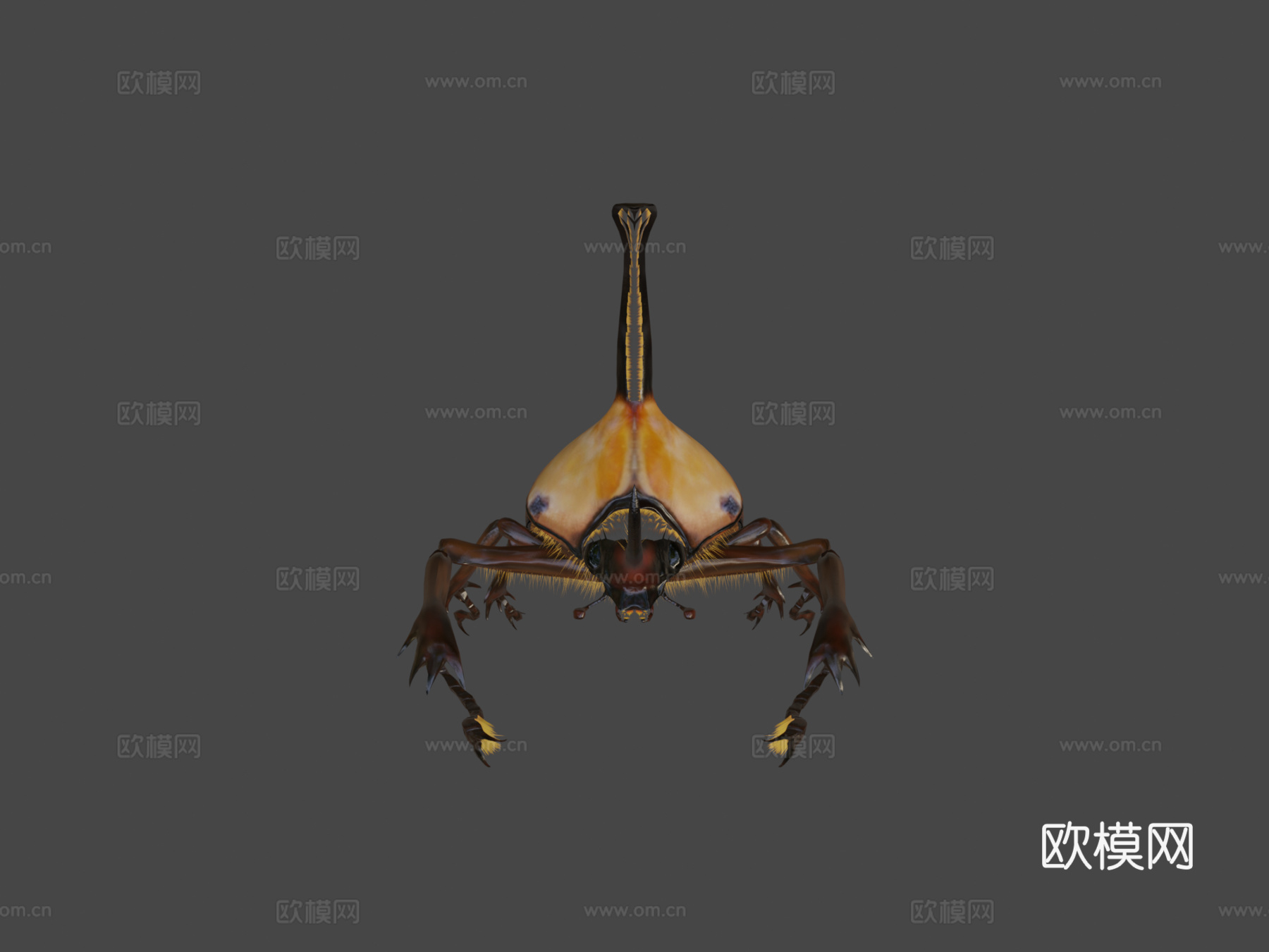 波特金龟3d模型下载（渲染图5）