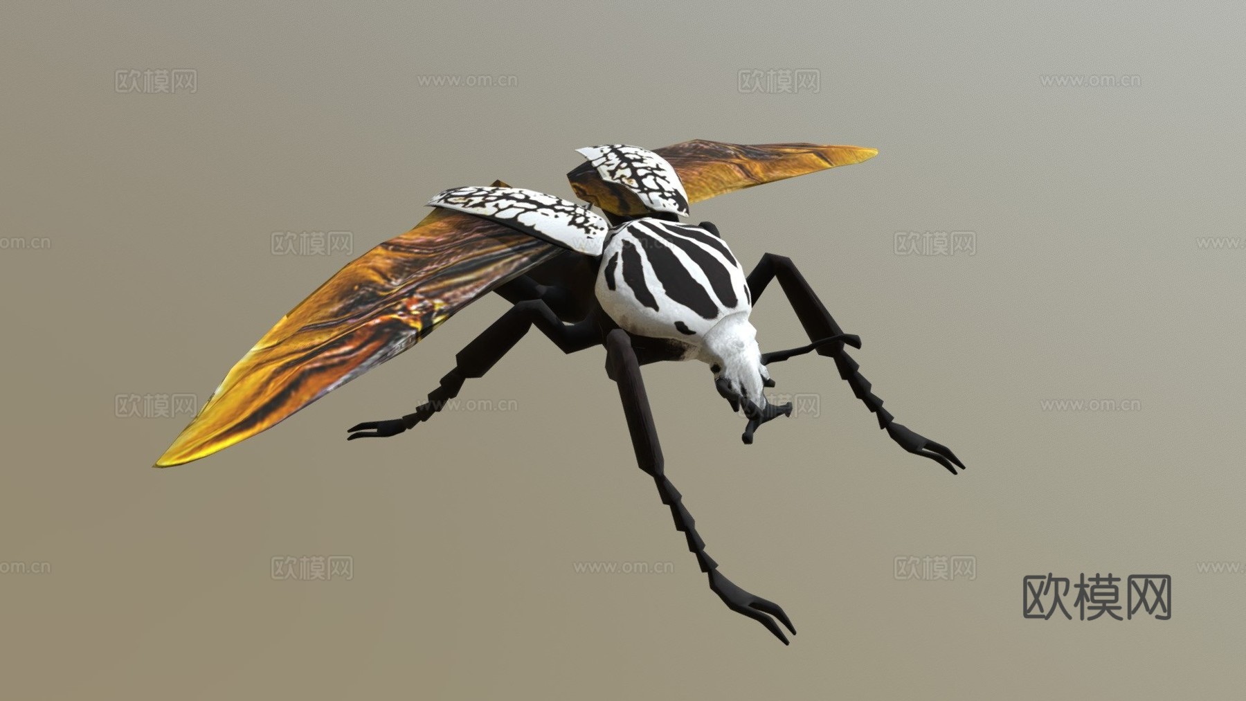 歌利亚甲虫3d模型下载（渲染图1）