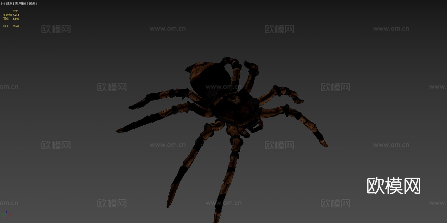 金发捕鸟蛛3d模型下载（渲染图4）