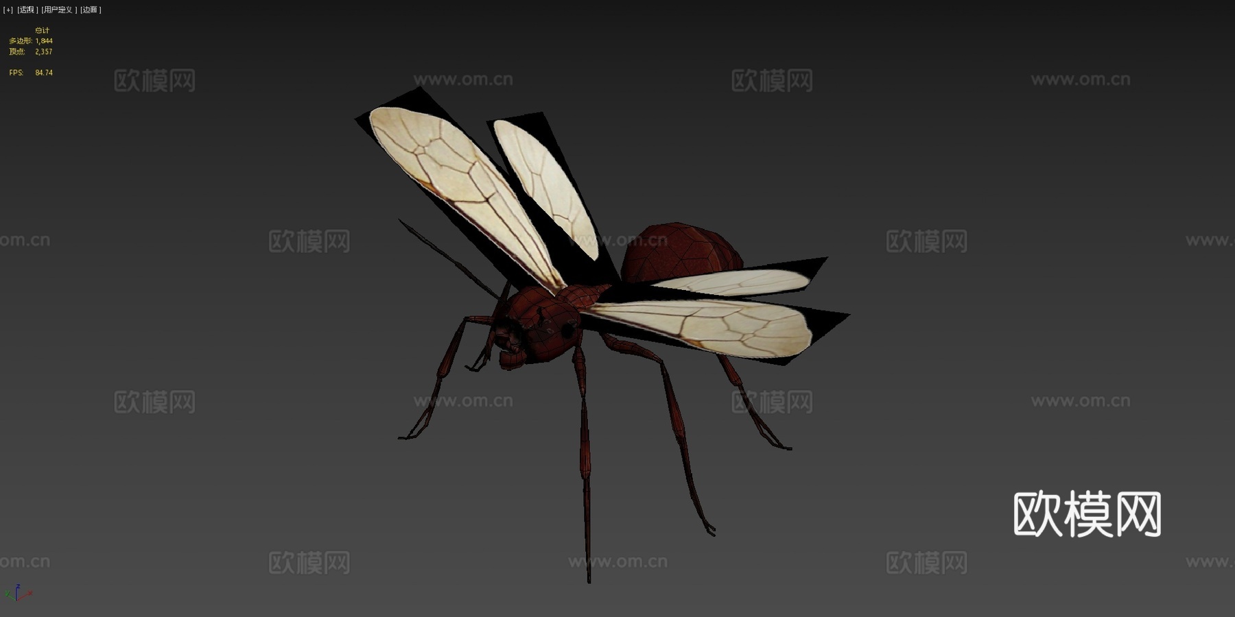 RT  蚂蚁  023d模型下载（渲染图4）