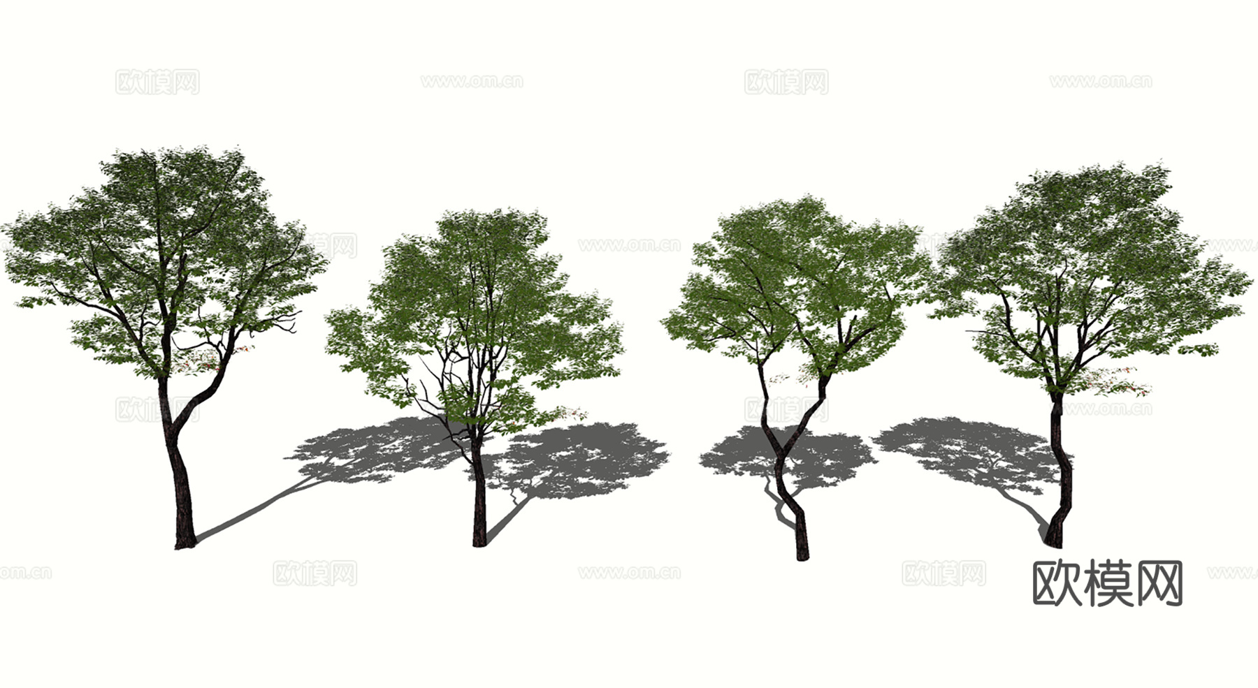 3D槐树朴树枫杨su模型