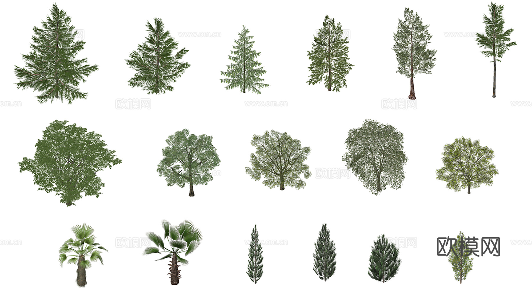 3D常用乔木绿植su模型