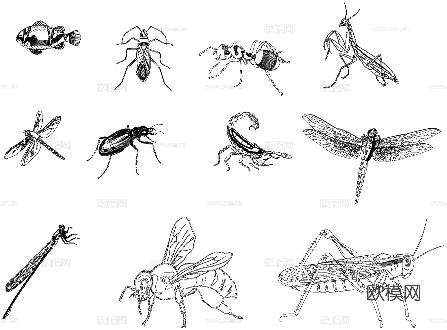 动物昆虫类小品图块CAD施工图集cad施工图cad施工图