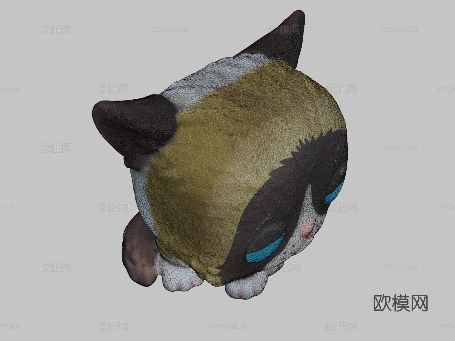 暴躁猫方头仔3d模型下载（渲染图2）