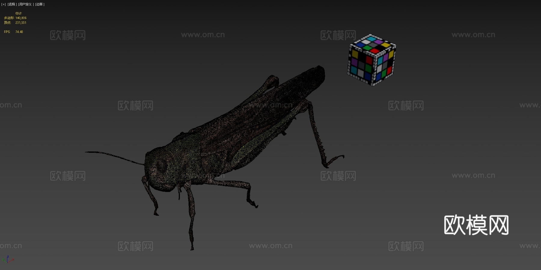 CC0 飞蝗   飞蝗飞蝗ffish.asia  flora3d模型下载（渲染图4）