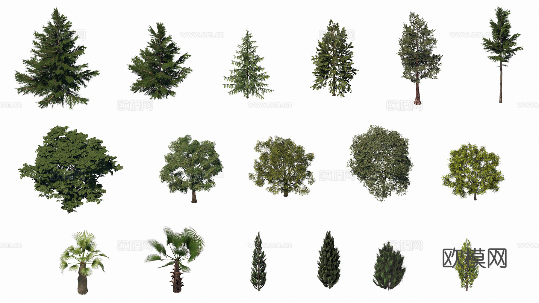 3D常用乔木绿植su模型