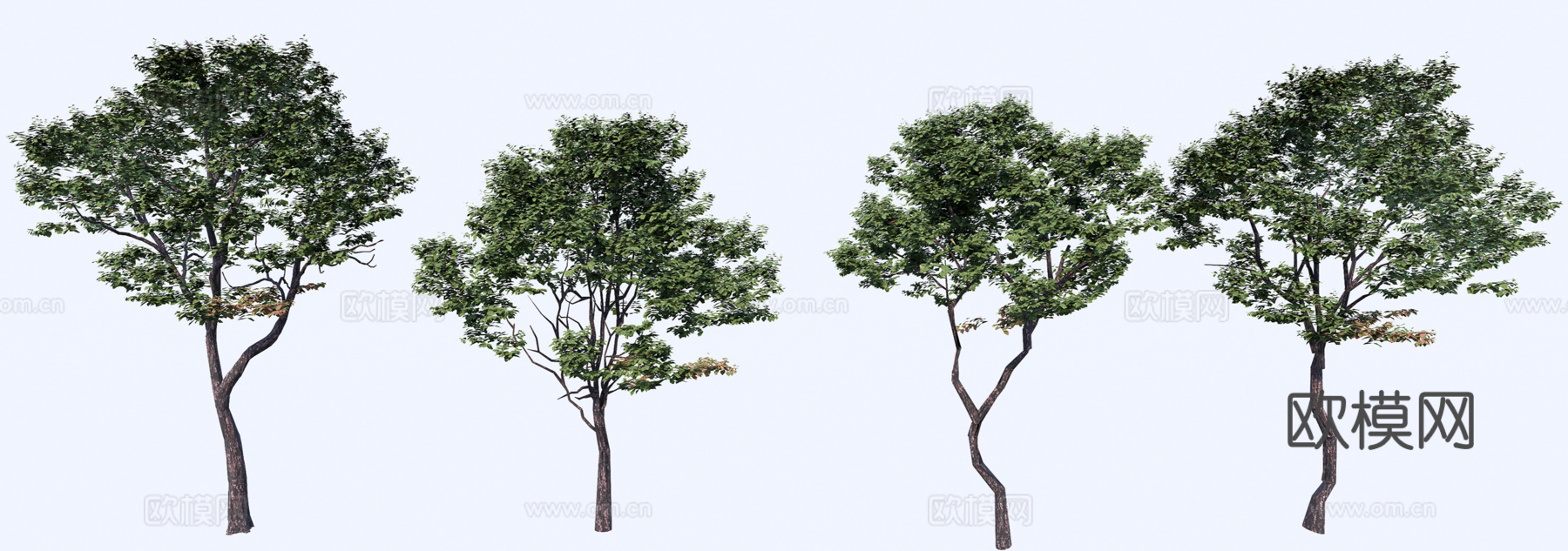 3D槐树朴树枫杨su模型