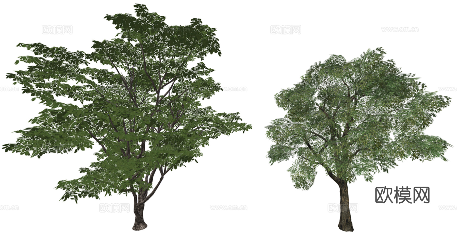 3D火焰树象耳豆su模型