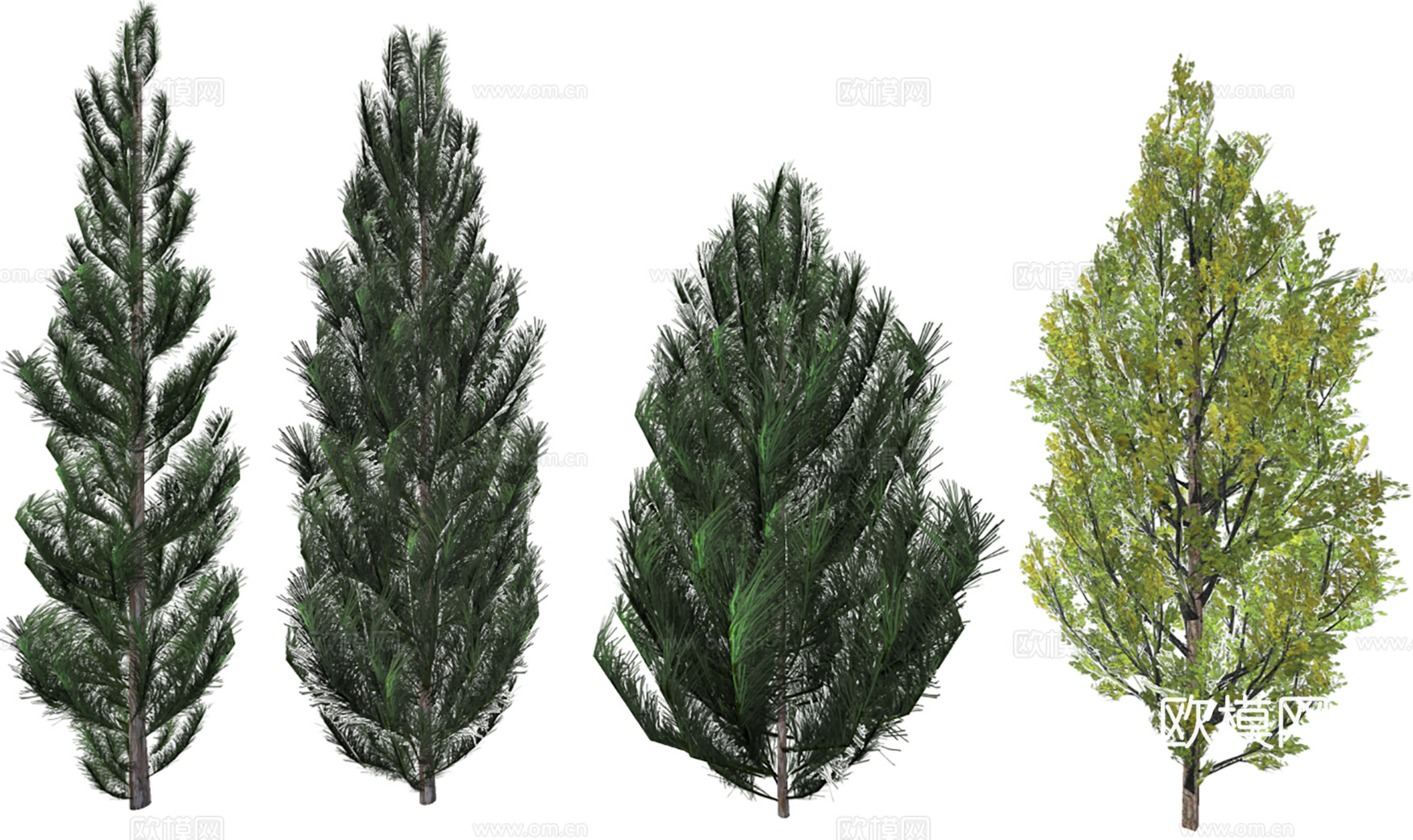 3D松树柏树水椰树su模型
