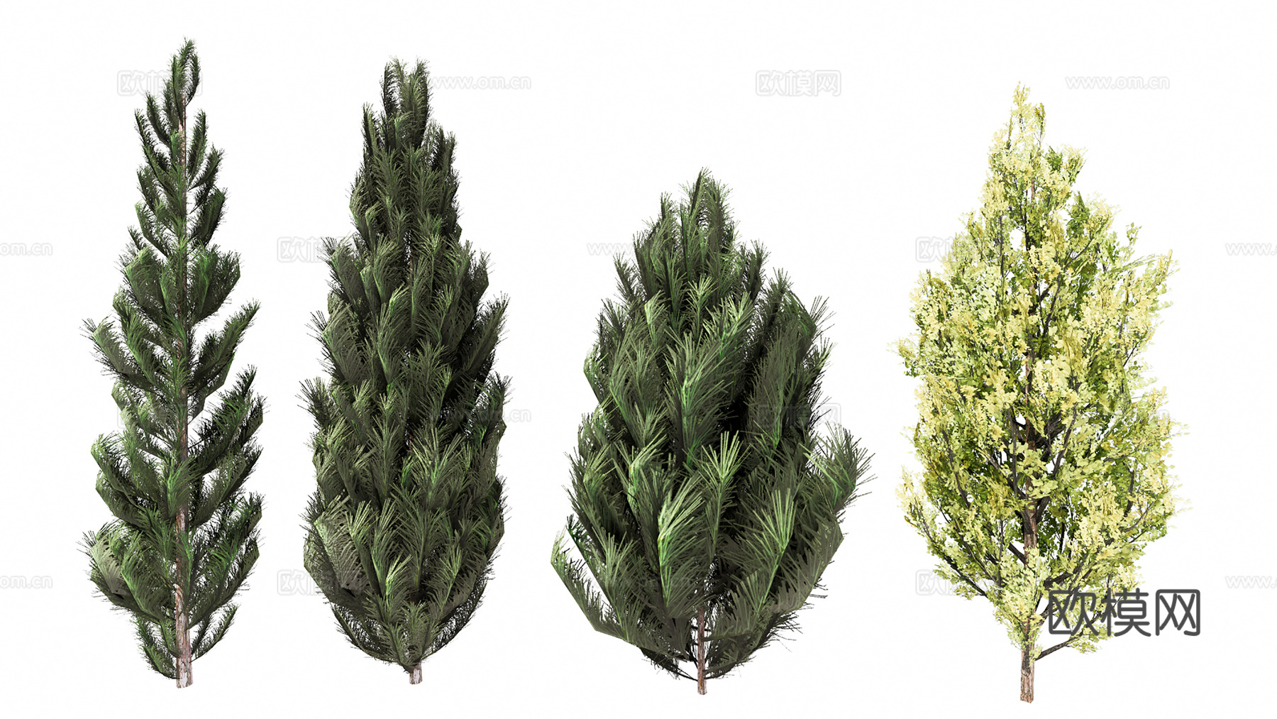 3D松树柏树水椰树su模型