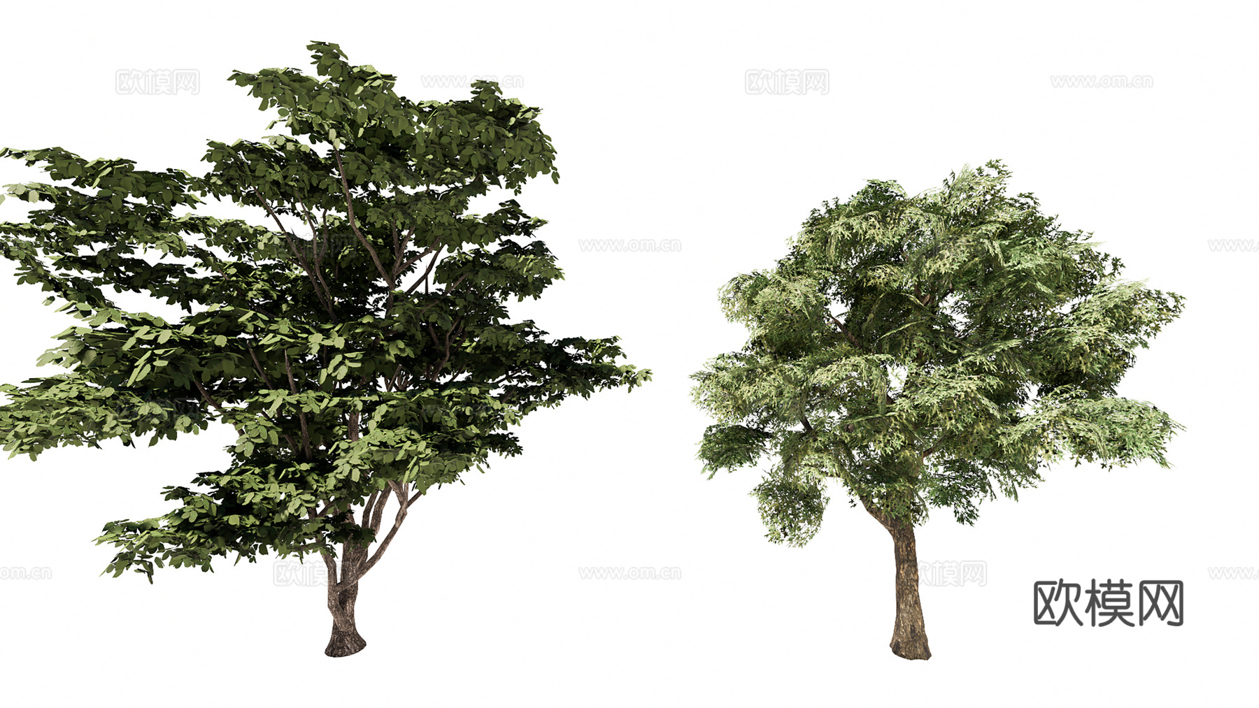 3D火焰树象耳豆su模型