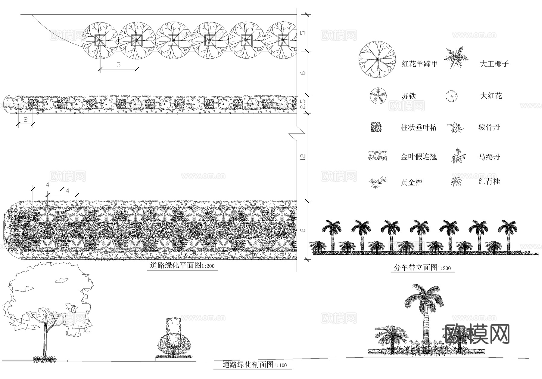 道路绿化 植物种植配置图 分车带cad施工图