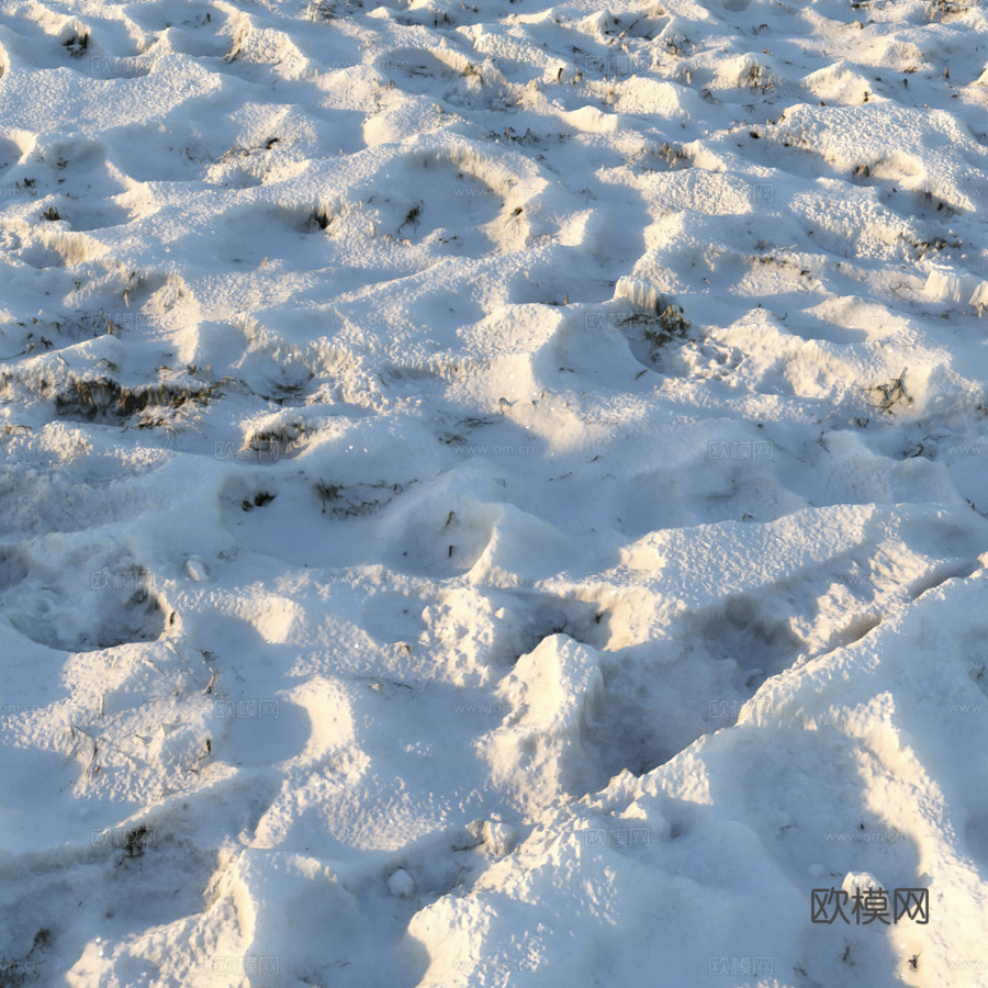 雪下草丛（材质）3d模型下载（渲染图1）