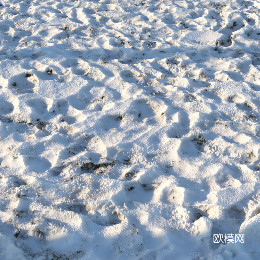 雪下草丛（材质）3d模型下载（渲染图3）