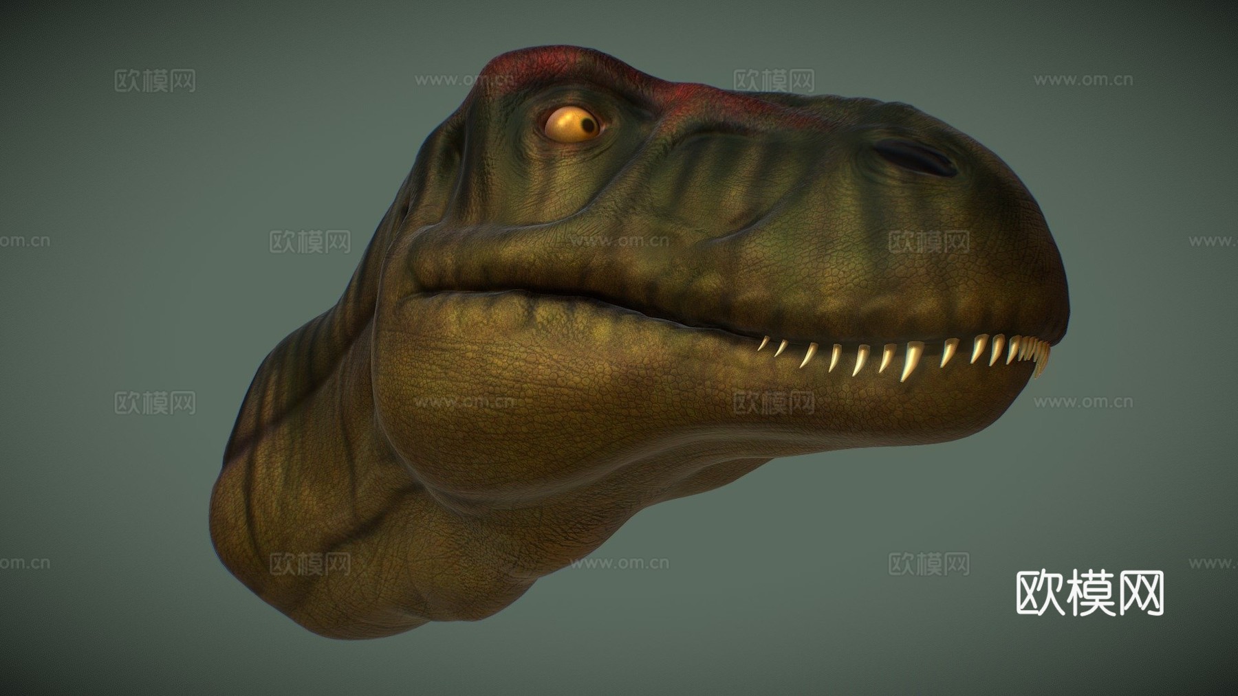 霸王龙头部研究3d模型下载（渲染图1）