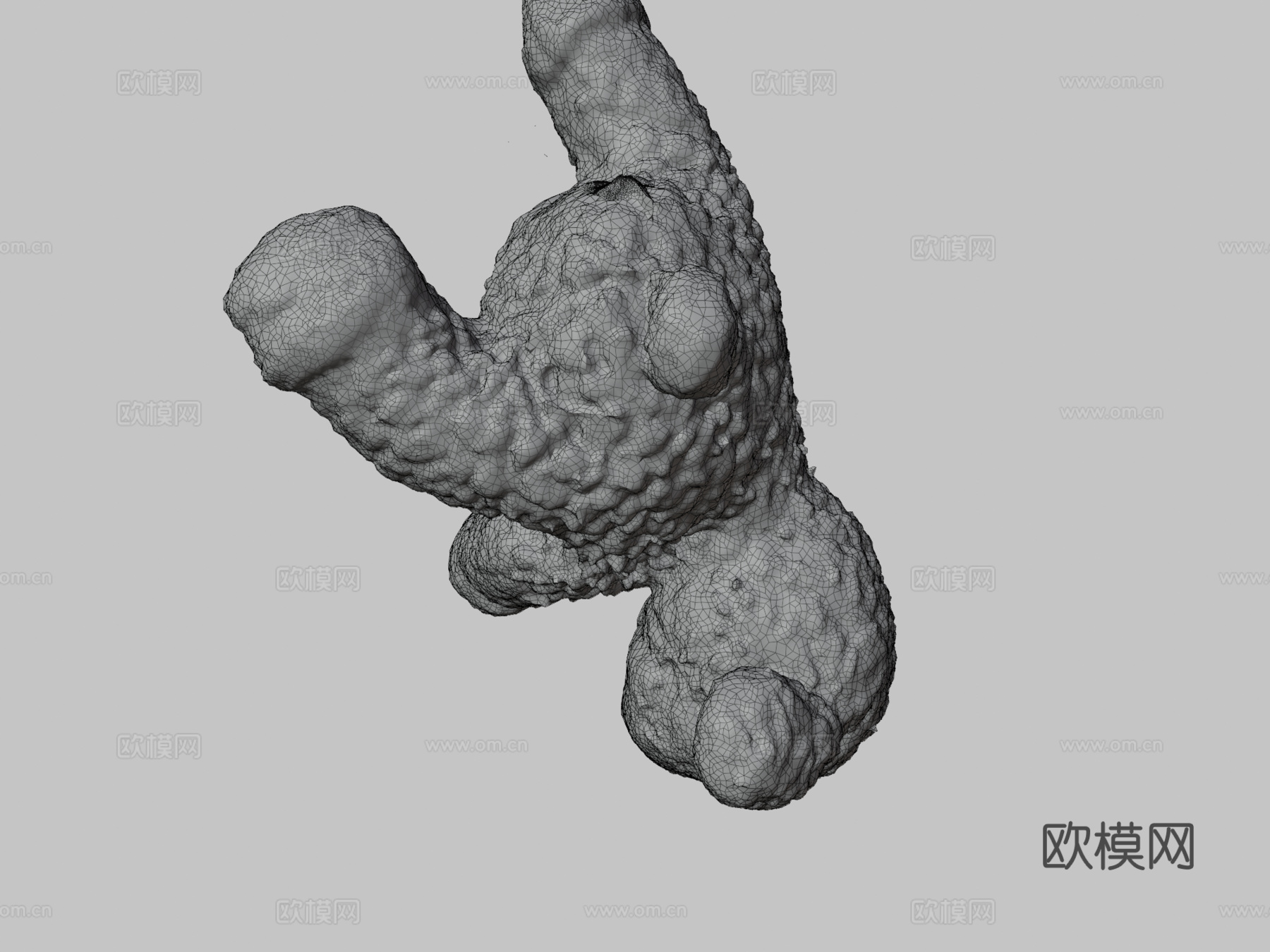 羔羊多相机扫描3d模型下载（渲染图3）