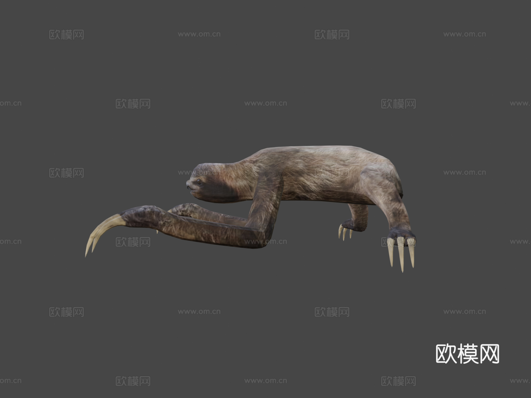 树懒3d模型下载（渲染图6）