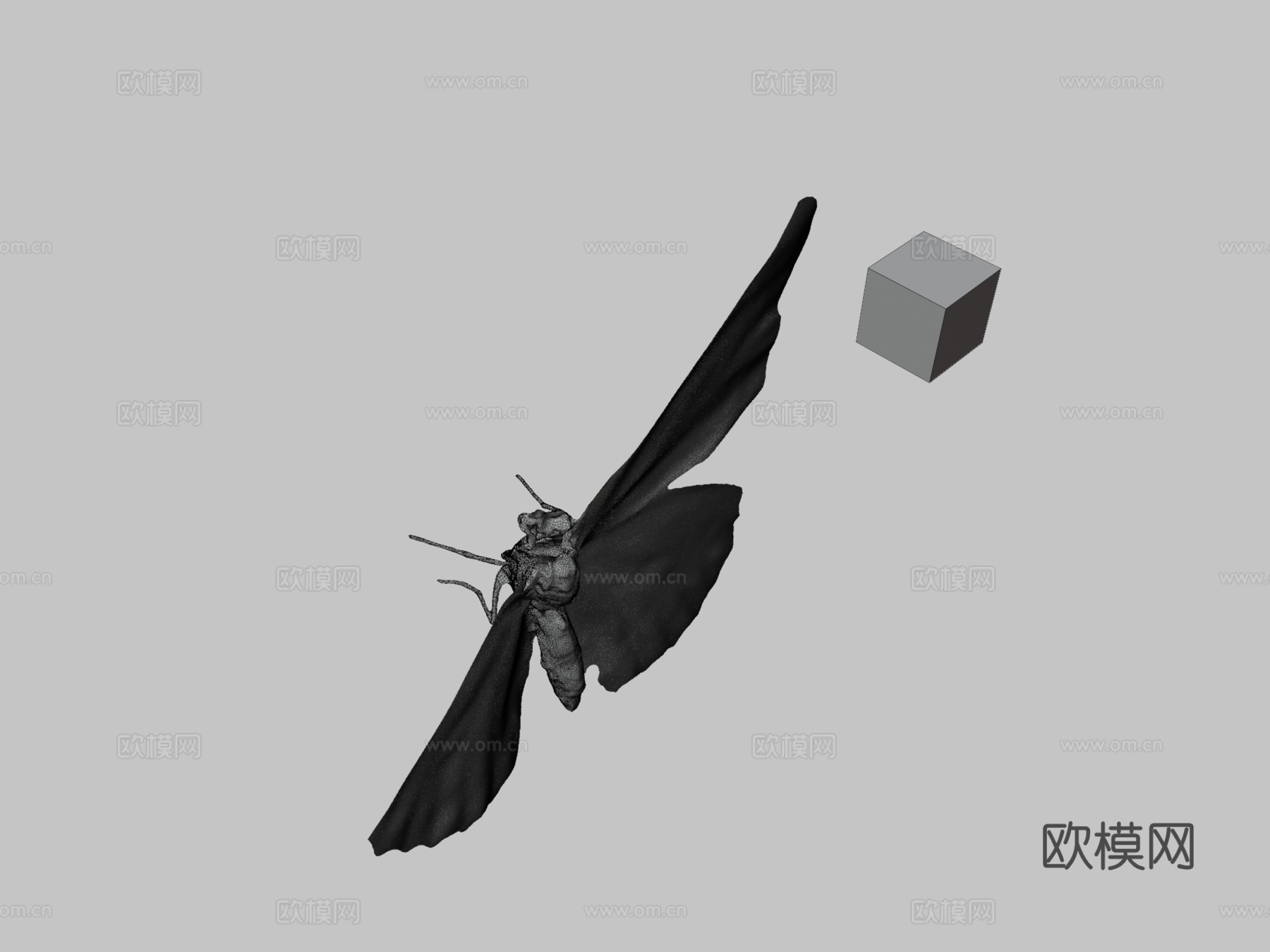 CC0 黑缘豹纹蝶   印度豹纹蝶3d模型下载（渲染图3）