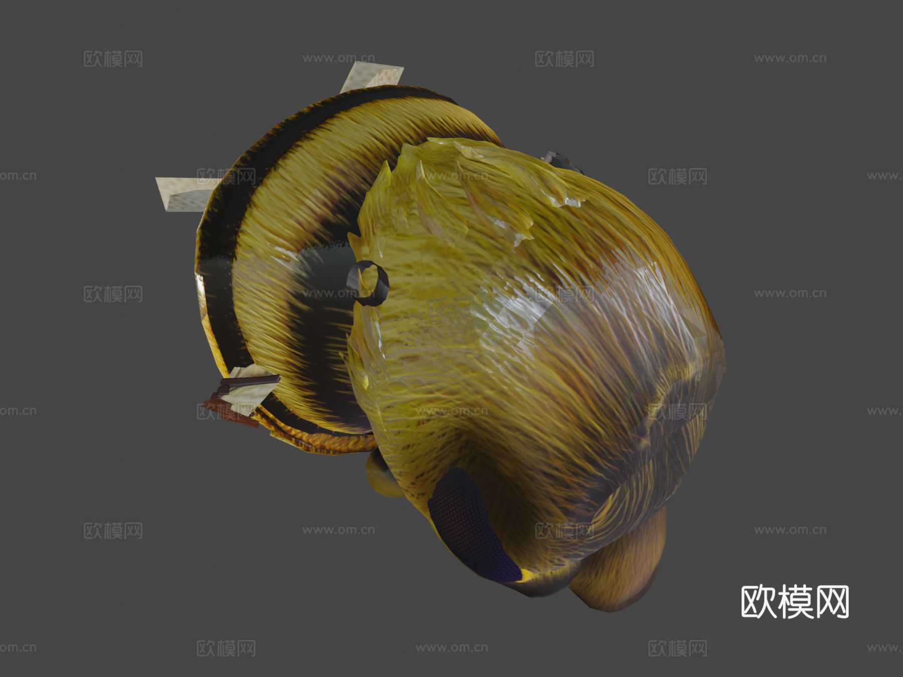 蜜蜂3d模型下载（渲染图8）
