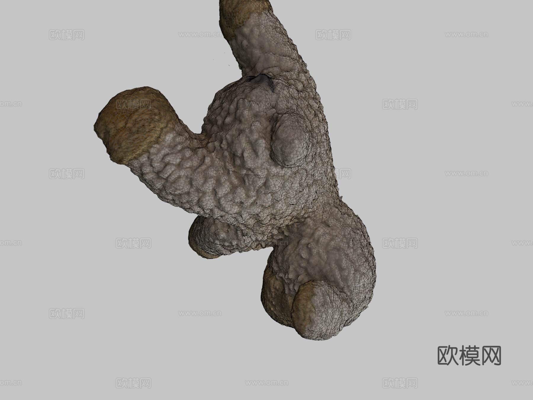 羔羊多相机扫描3d模型下载（渲染图2）