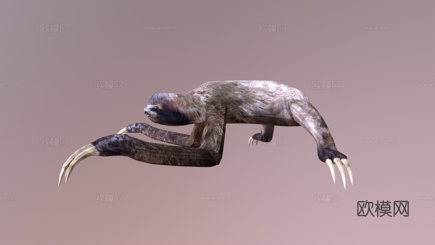 树懒3d模型下载（渲染图1）