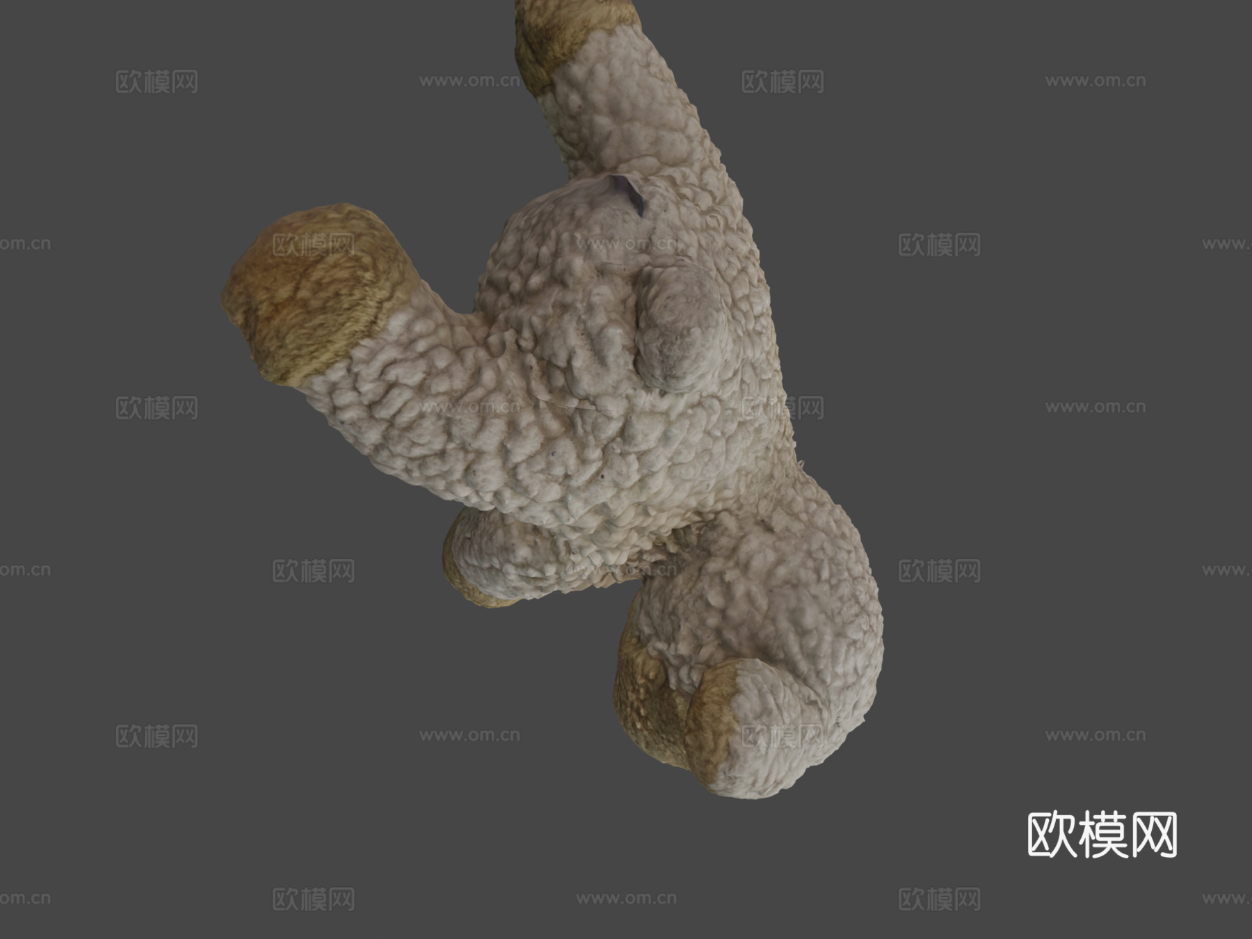 羔羊多相机扫描3d模型下载（渲染图6）
