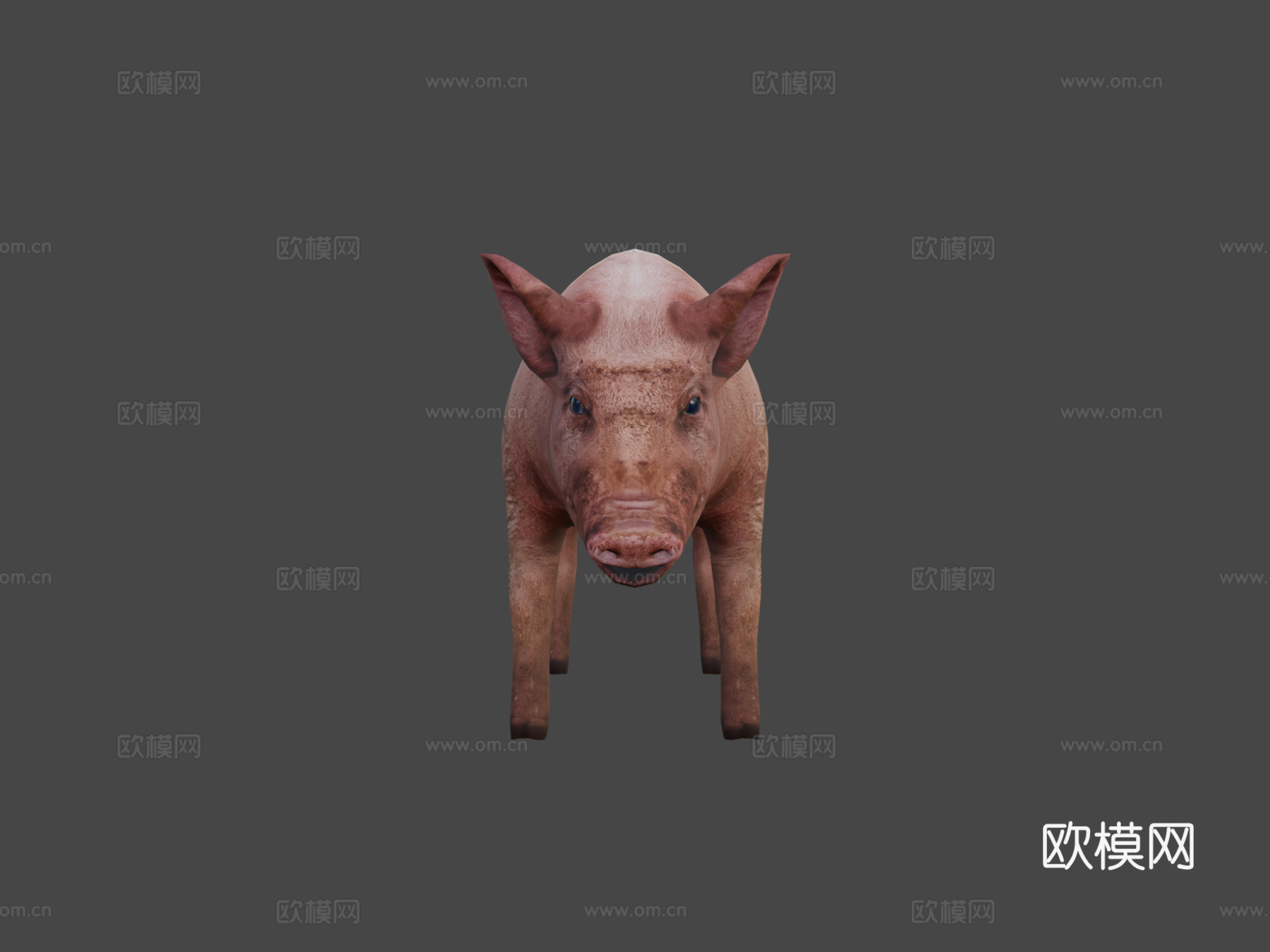 脏猪3d模型3d模型下载（渲染图5）