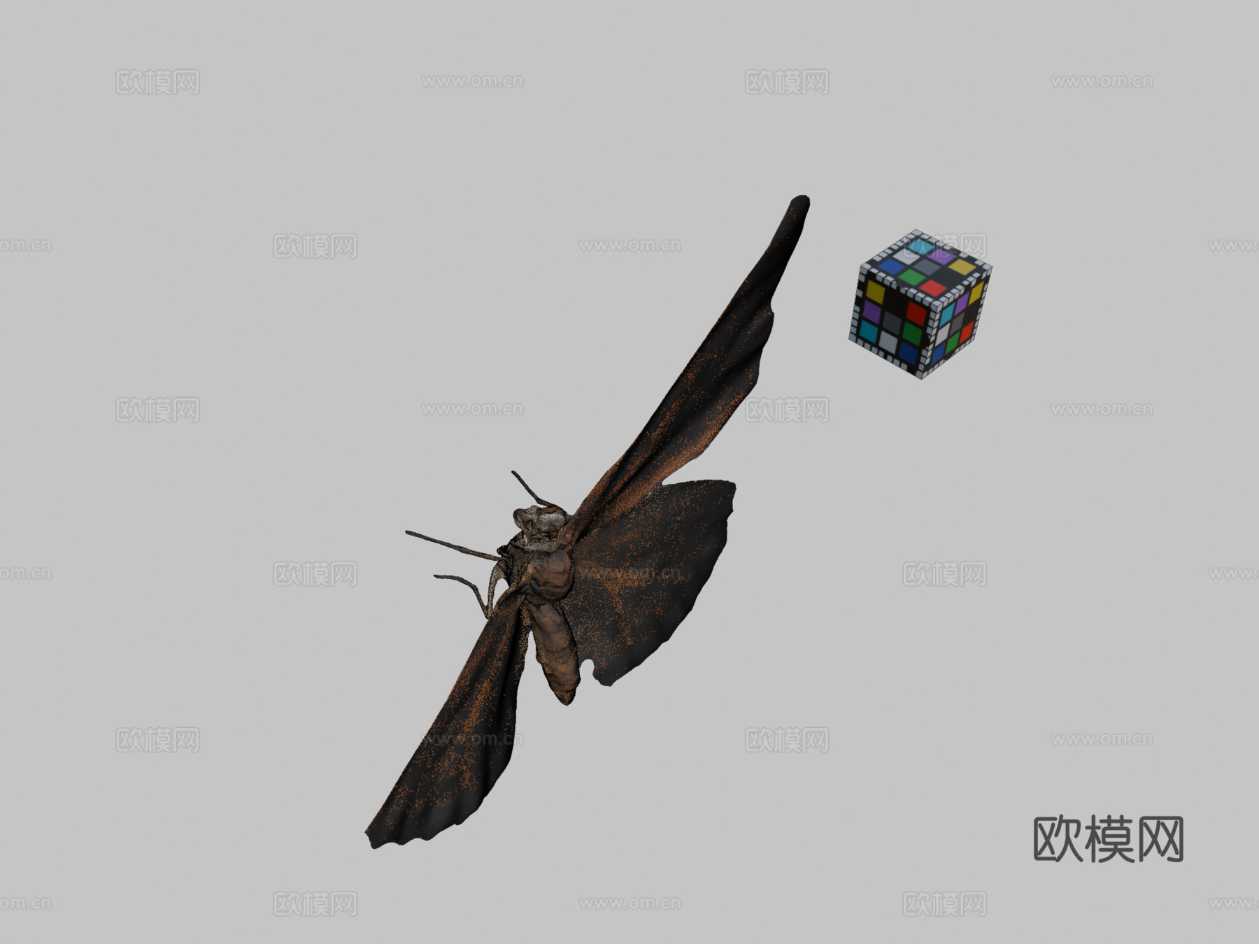 CC0 黑缘豹纹蝶   印度豹纹蝶3d模型下载（渲染图2）