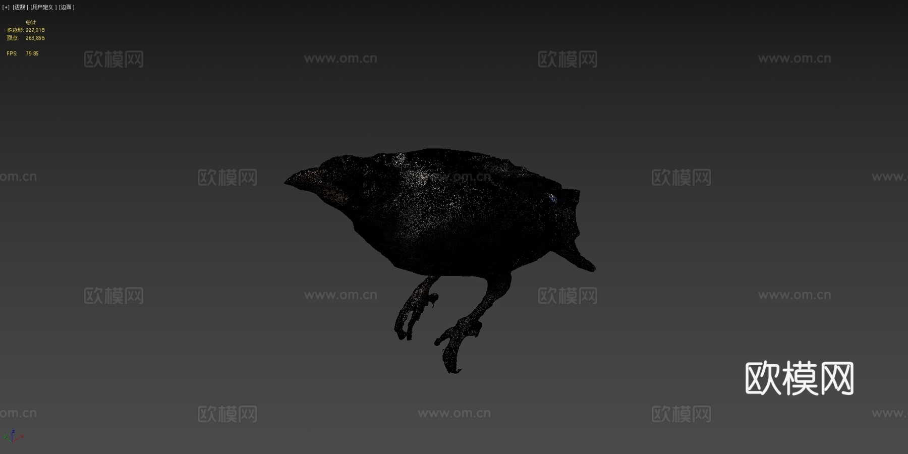 普通家八哥鹩哥3d模型下载（渲染图4）