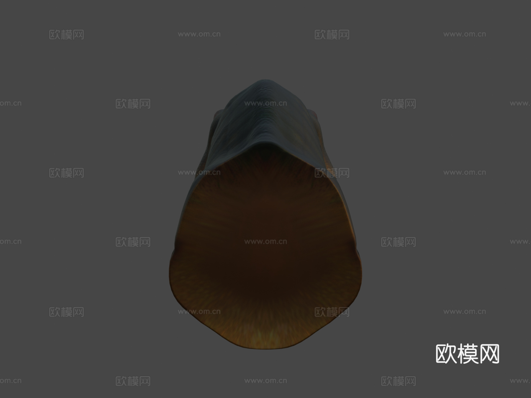 霸王龙头部研究3d模型下载（渲染图5）