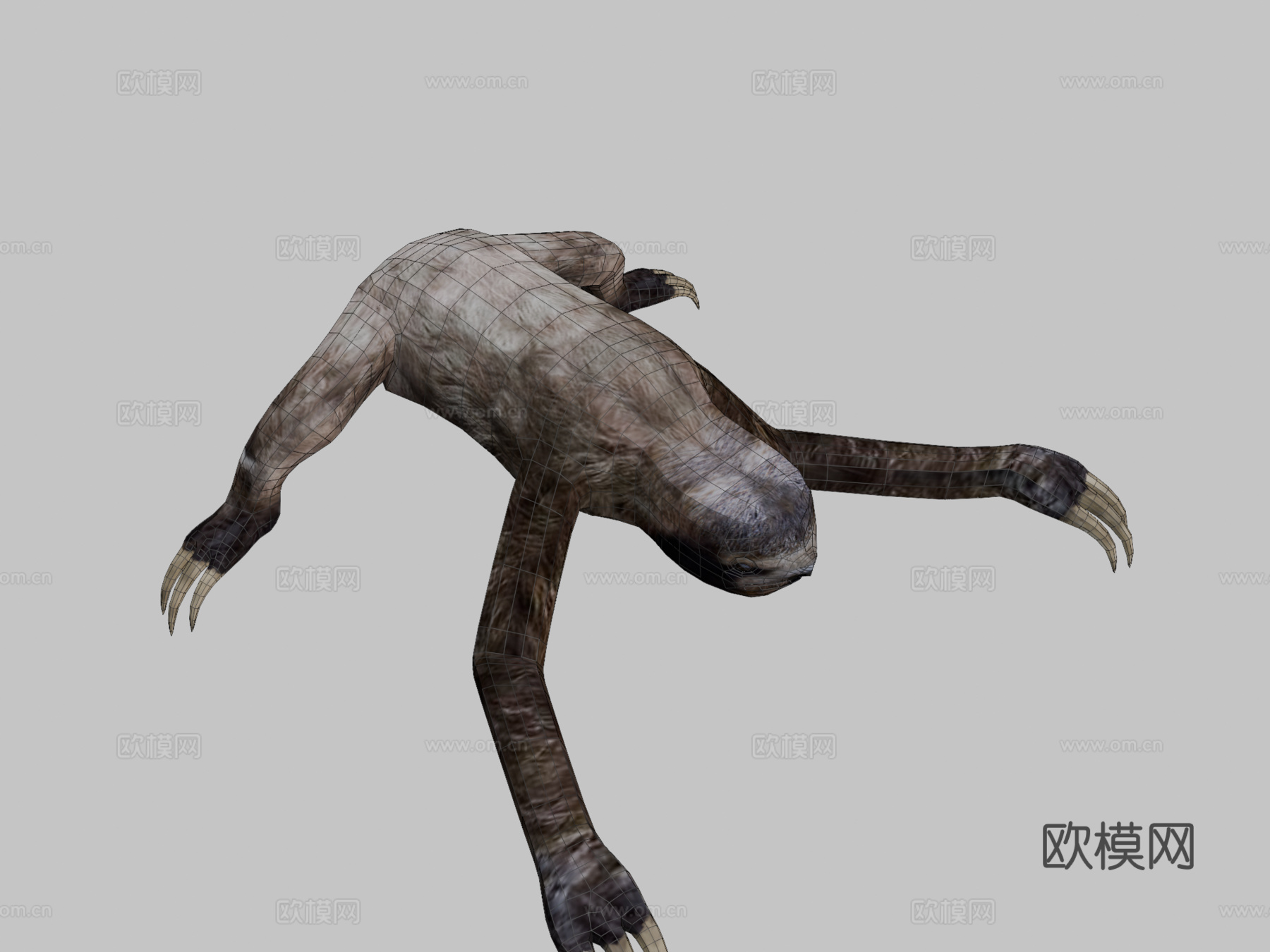 树懒3d模型下载（渲染图2）