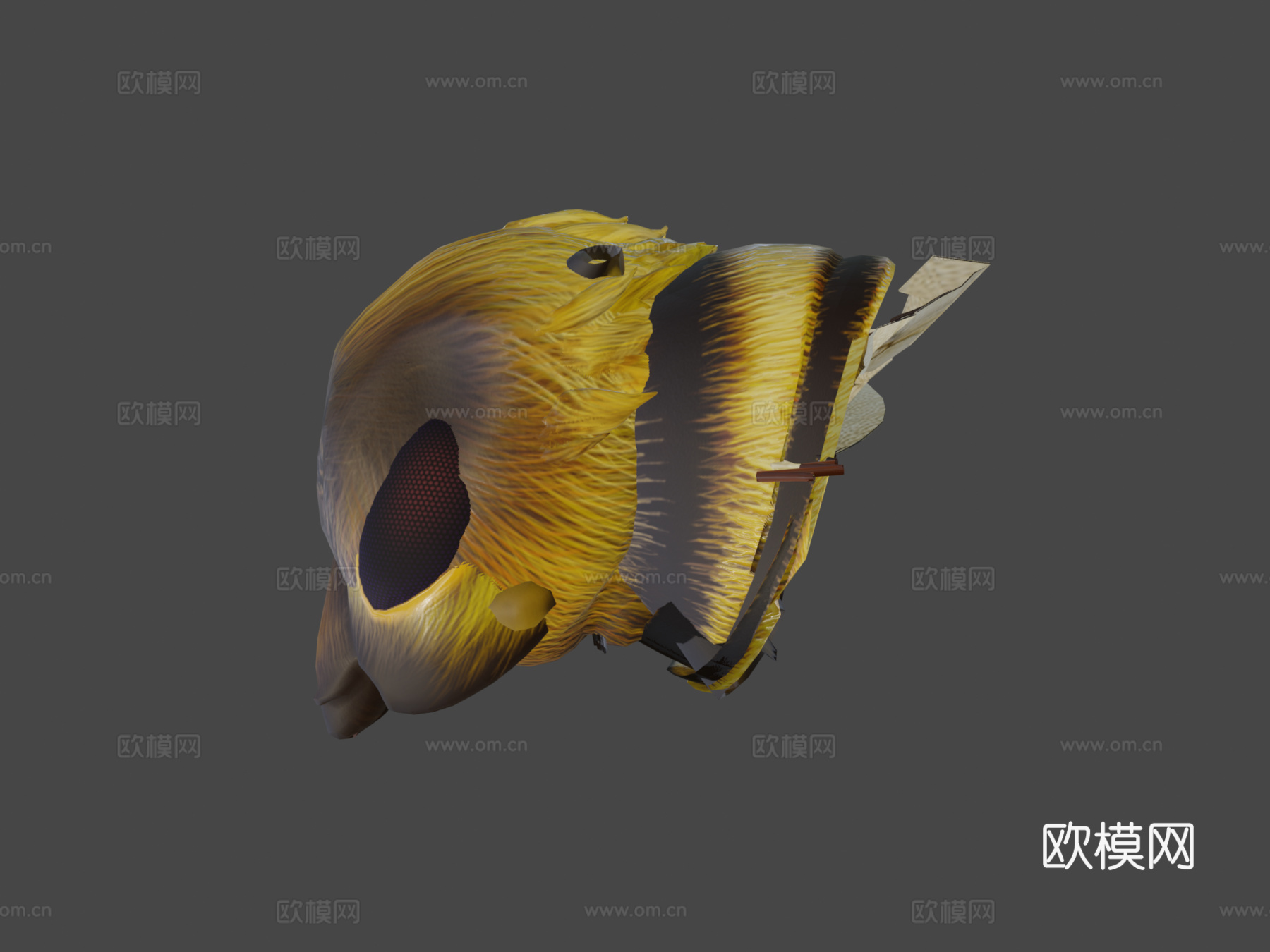 蜜蜂3d模型下载（渲染图6）