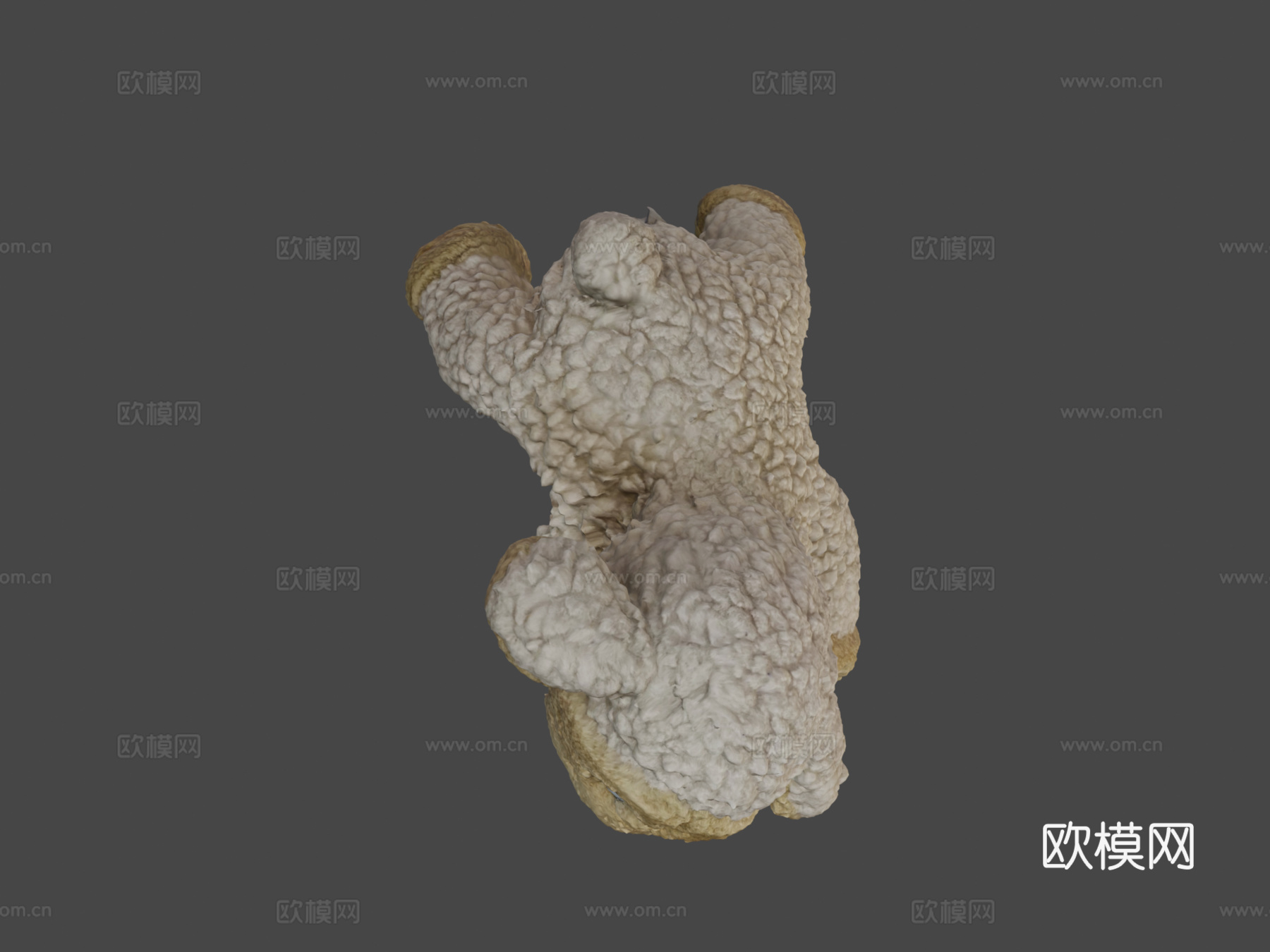 羔羊多相机扫描3d模型下载（渲染图7）