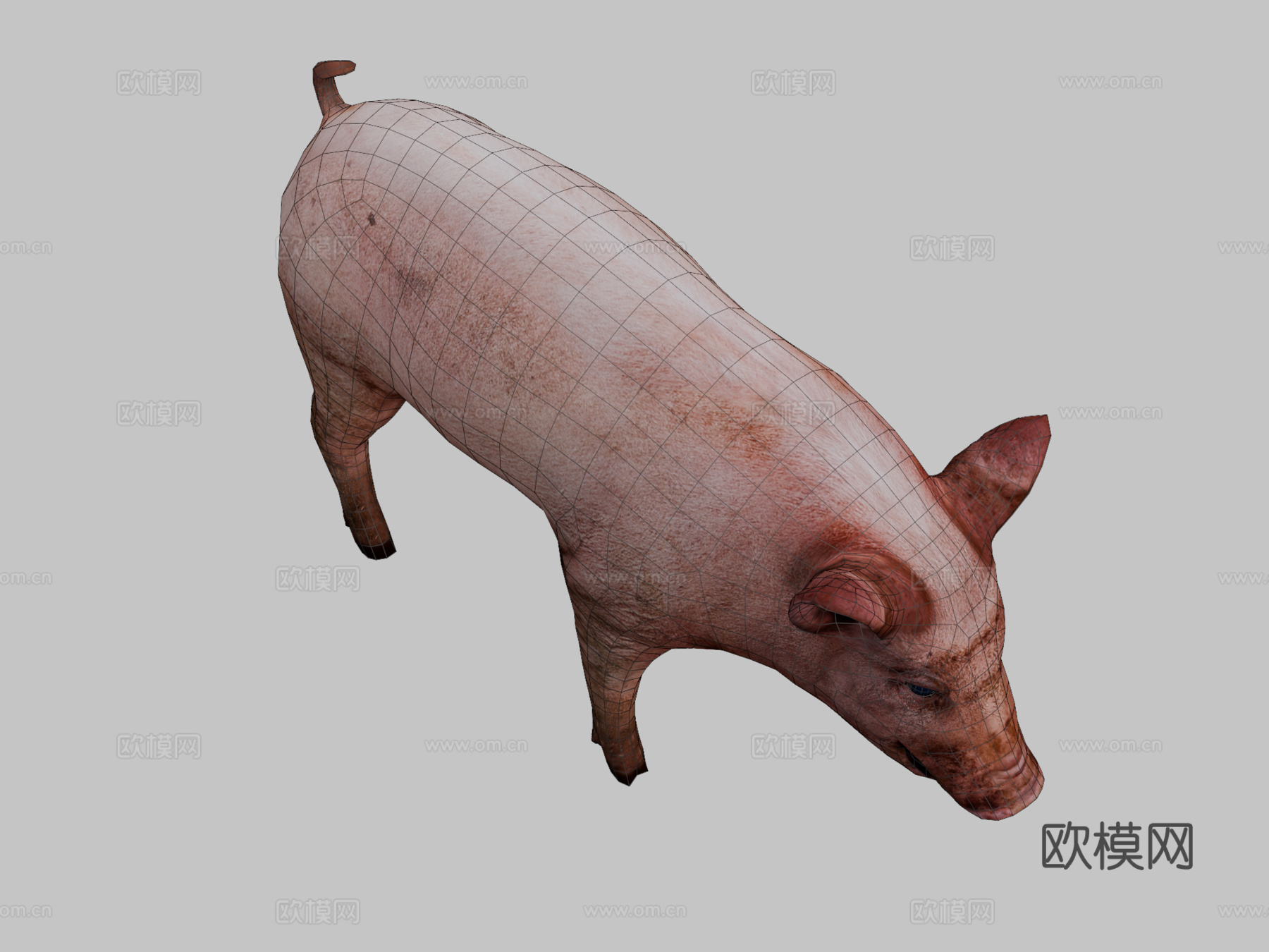 脏猪3d模型3d模型下载（渲染图2）