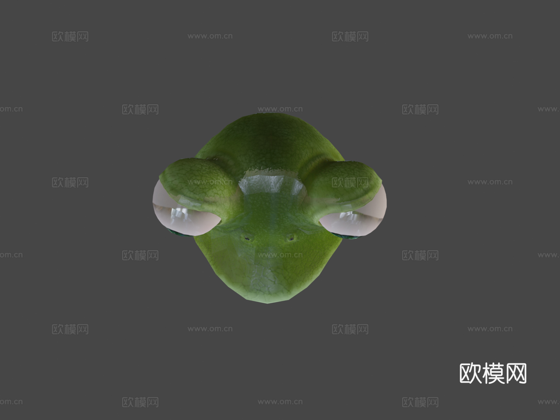 青蛙3d模型下载（渲染图5）