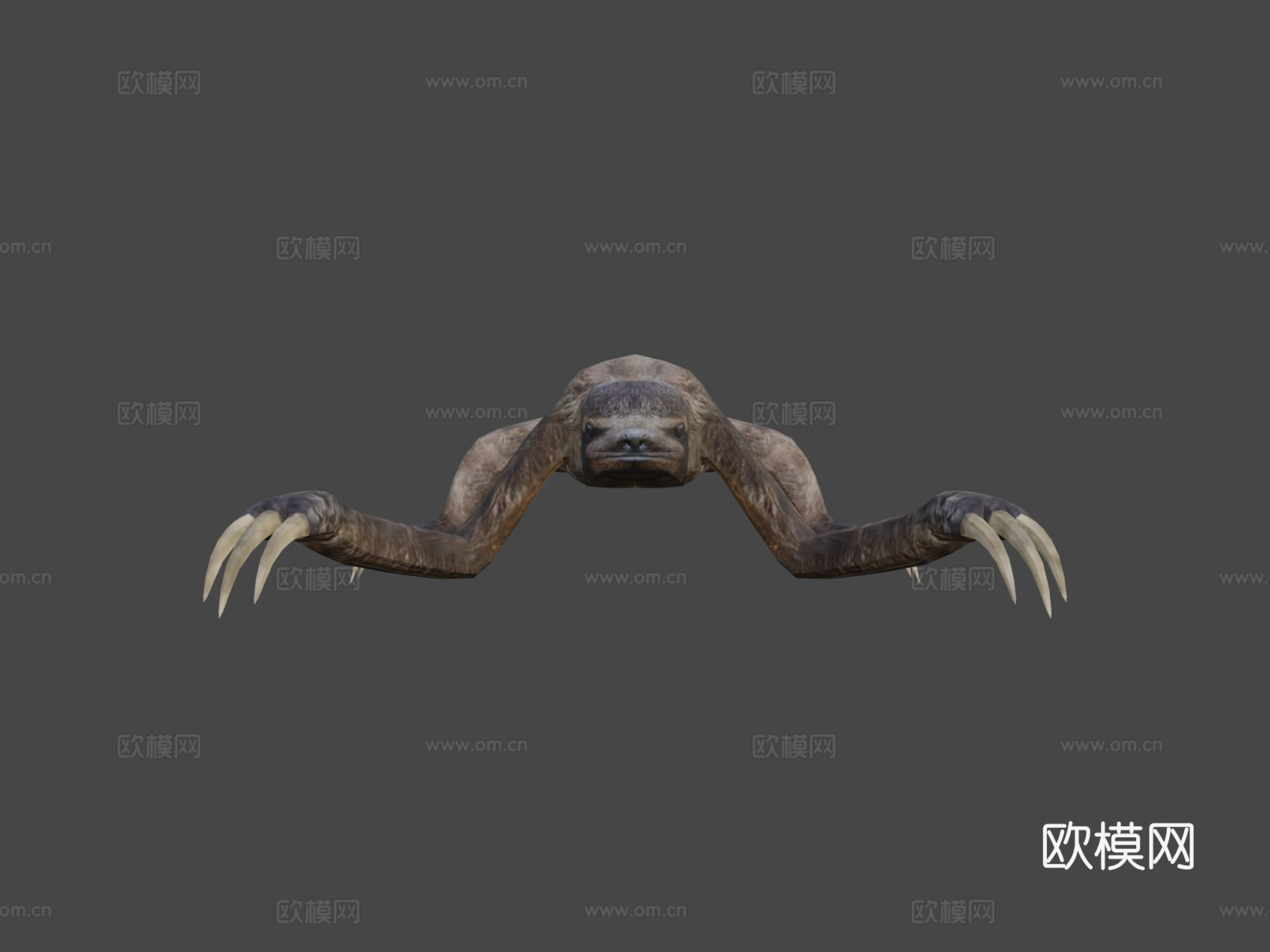 树懒3d模型下载（渲染图5）