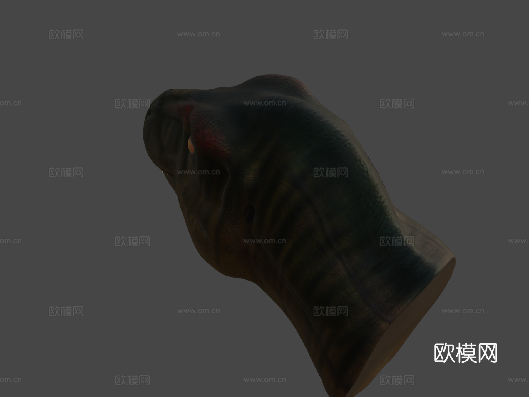 霸王龙头部研究3d模型下载（渲染图7）