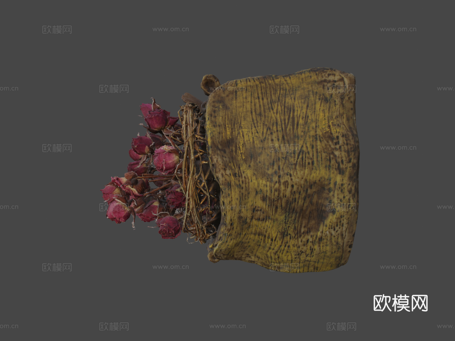 鸟与玫瑰3d模型下载（渲染图7）