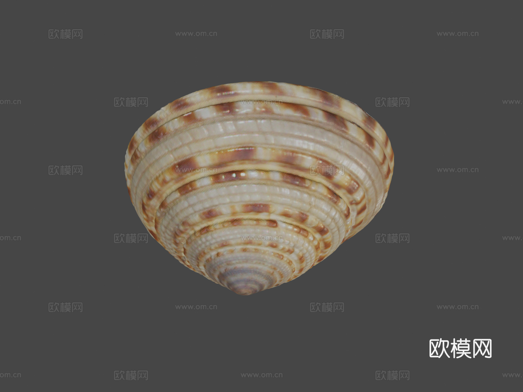 巨型日晷螺壳3d模型下载（渲染图6）