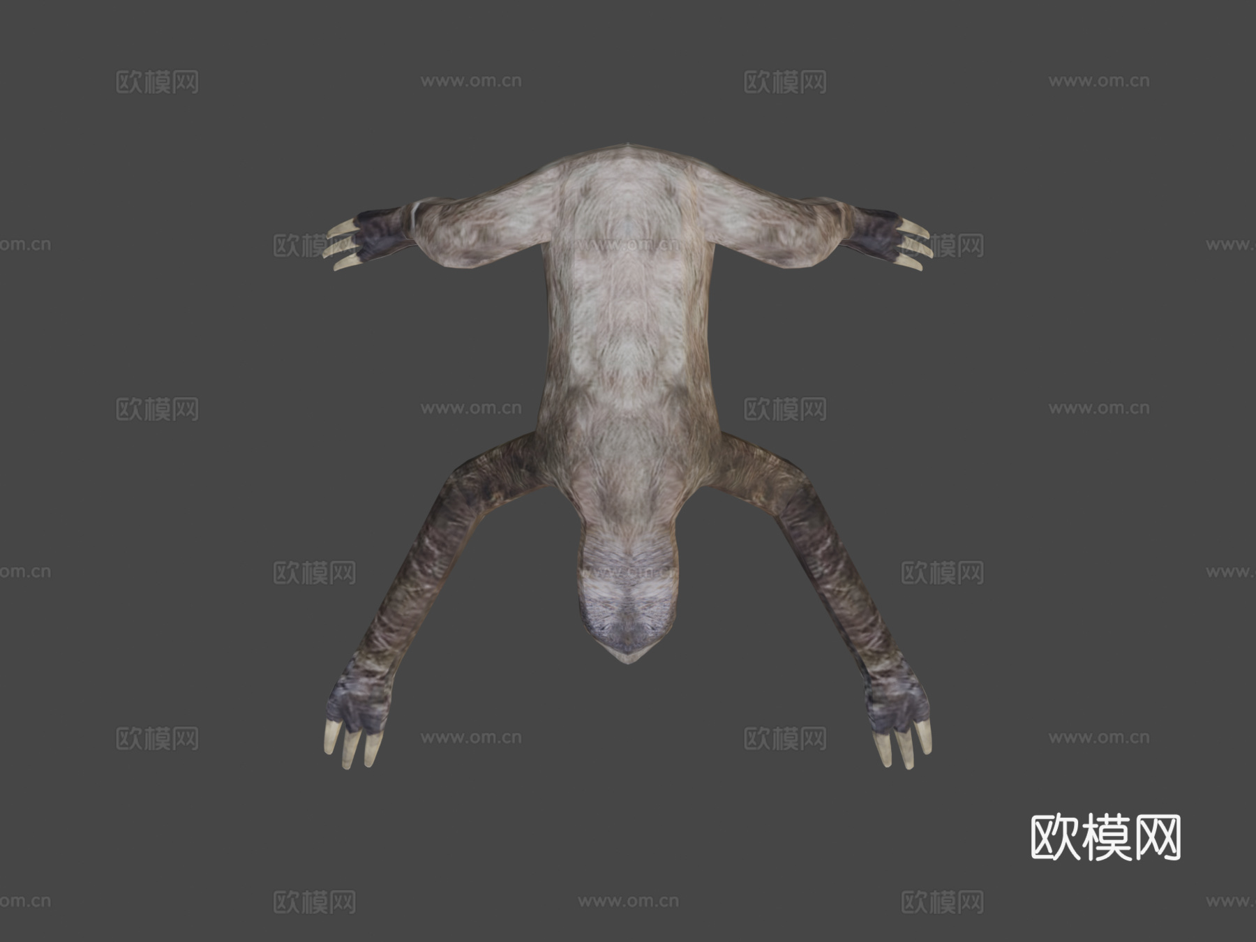 树懒3d模型下载（渲染图7）