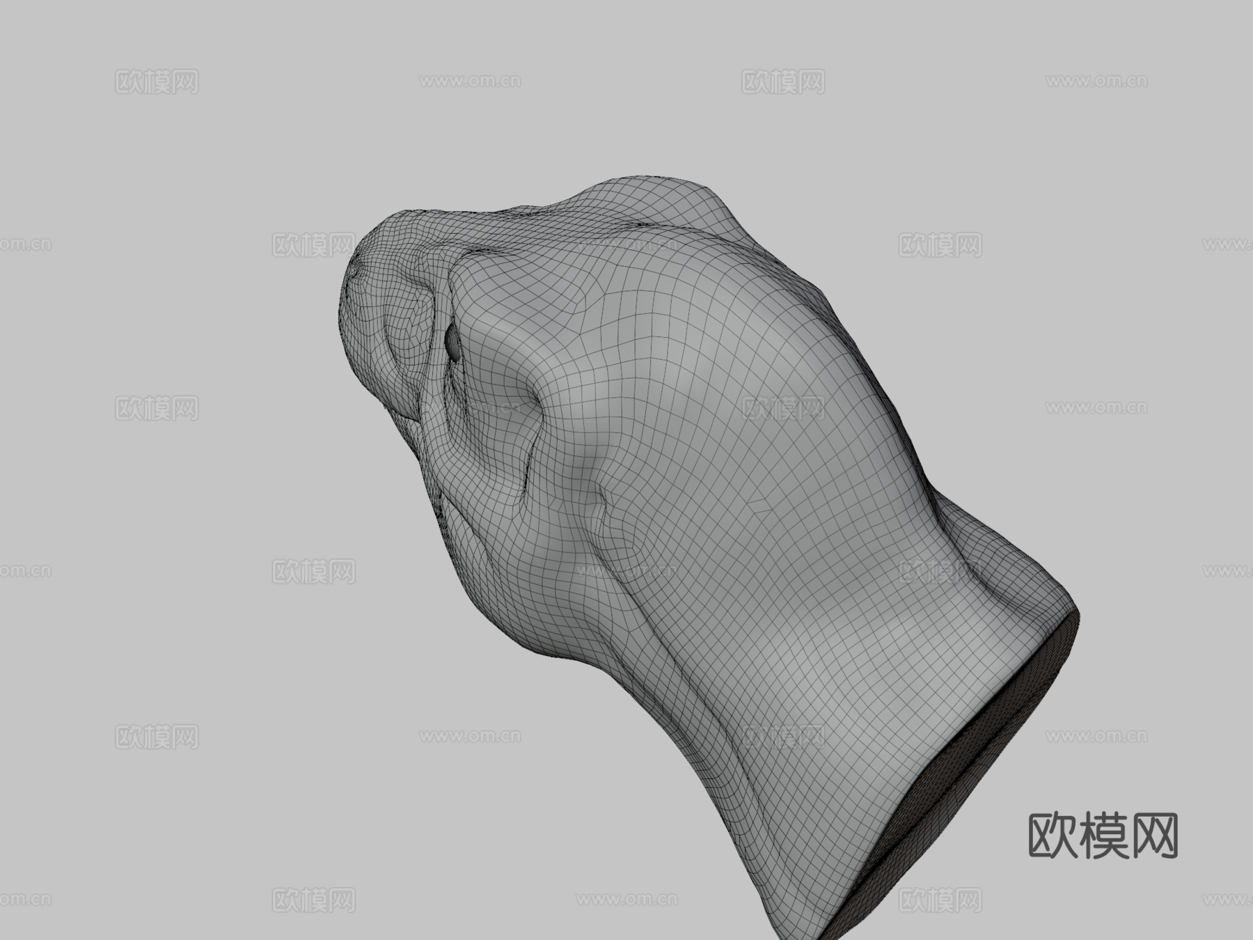 霸王龙头部研究3d模型下载（渲染图3）