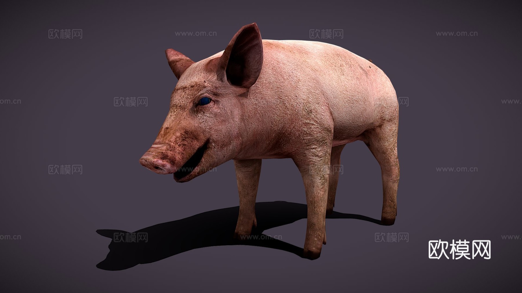 脏猪3d模型3d模型下载（渲染图1）