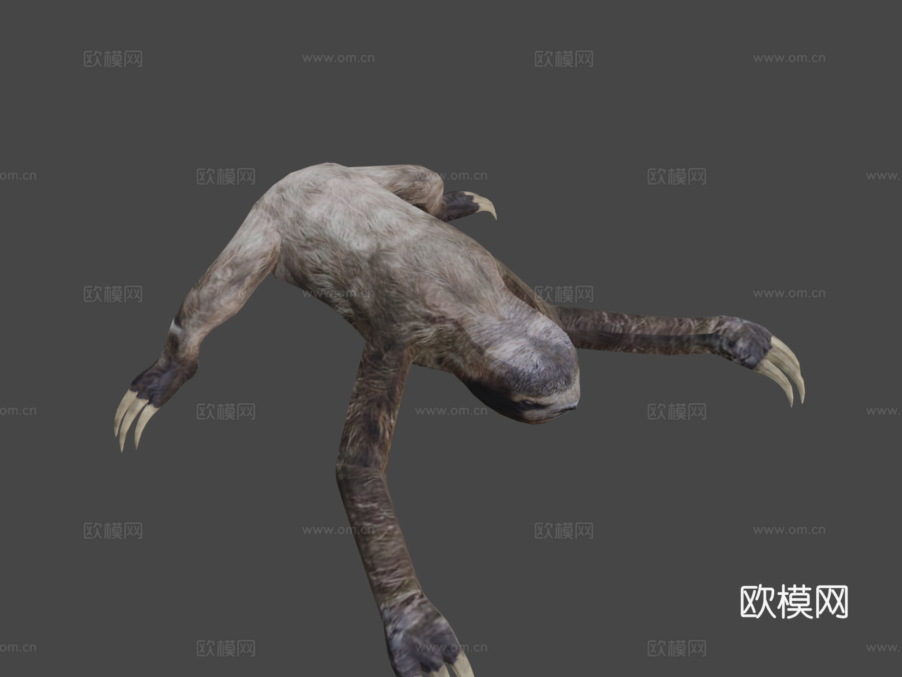 树懒3d模型下载（渲染图8）