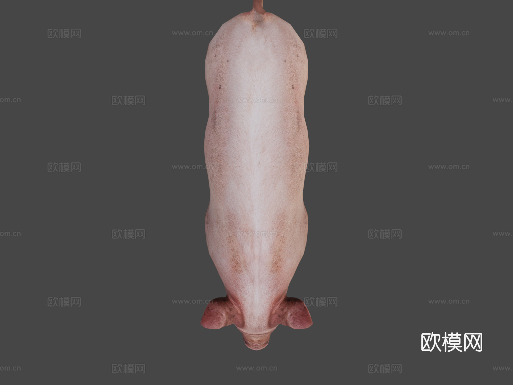 脏猪3d模型3d模型下载（渲染图6）