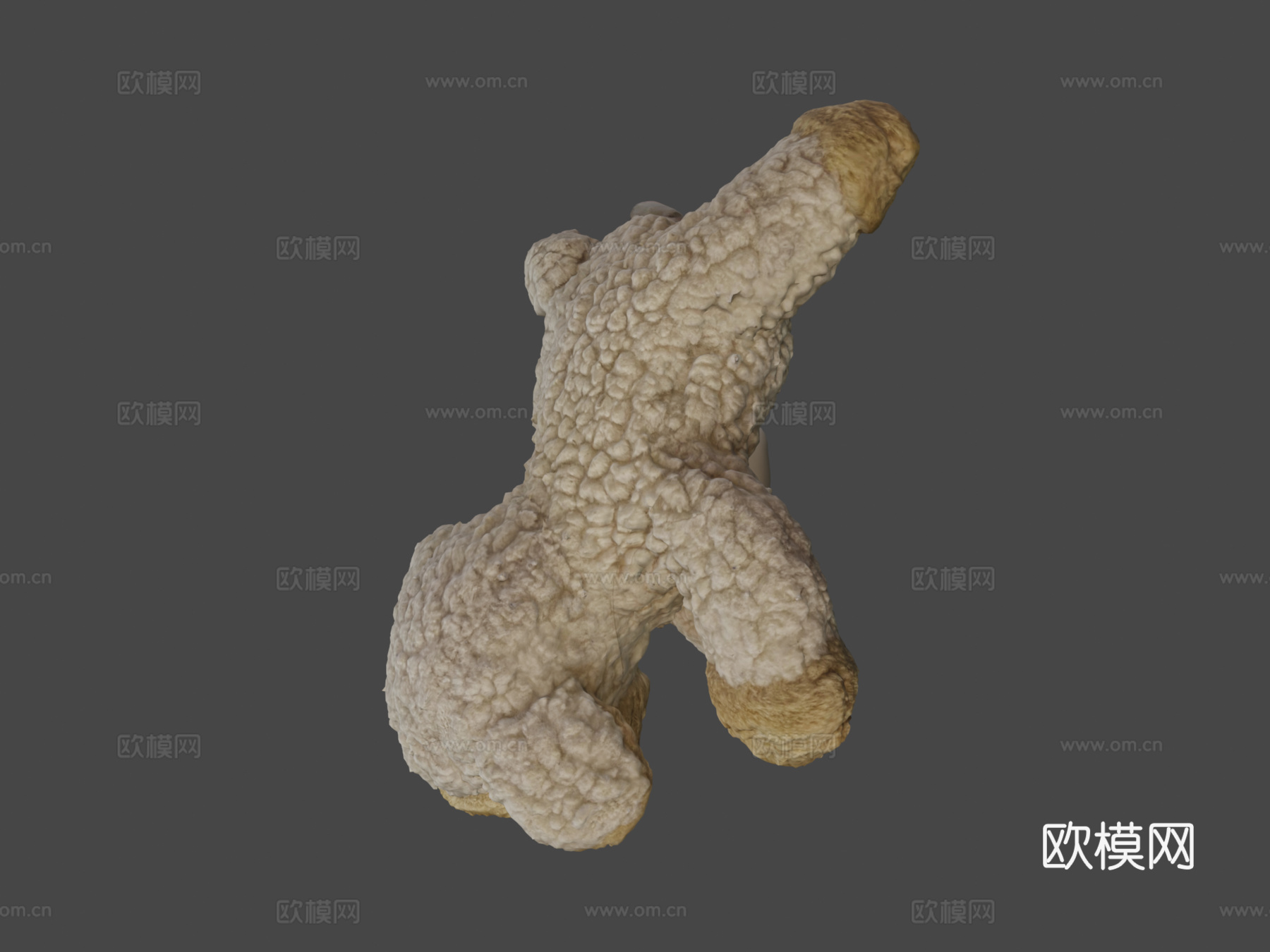 羔羊多相机扫描3d模型下载（渲染图8）