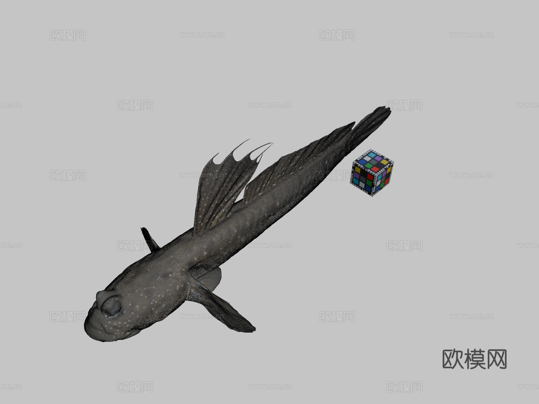 CC0 弹涂鱼   蓝点弹涂鱼3d模型下载（渲染图2）