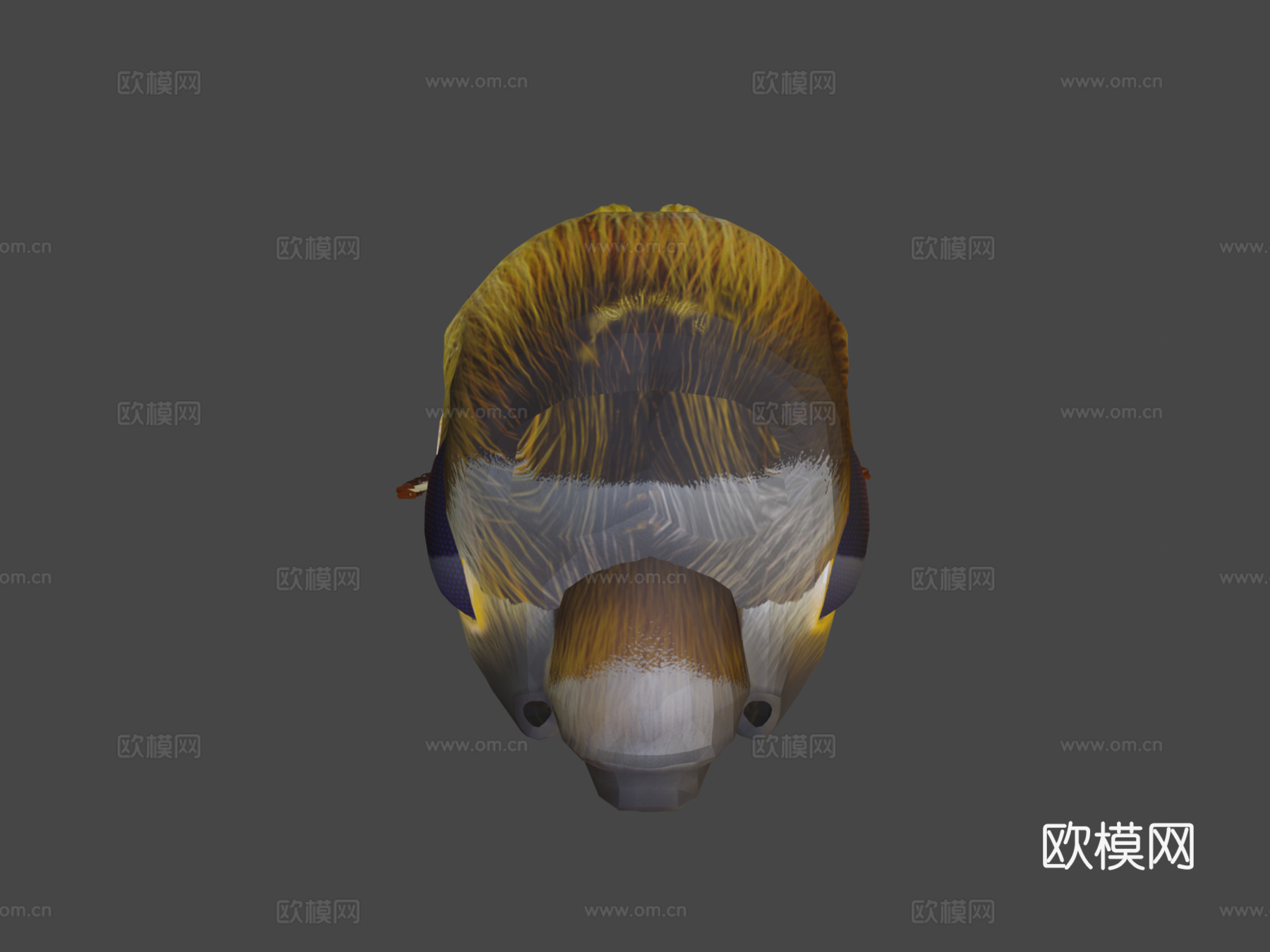 蜜蜂3d模型下载（渲染图5）