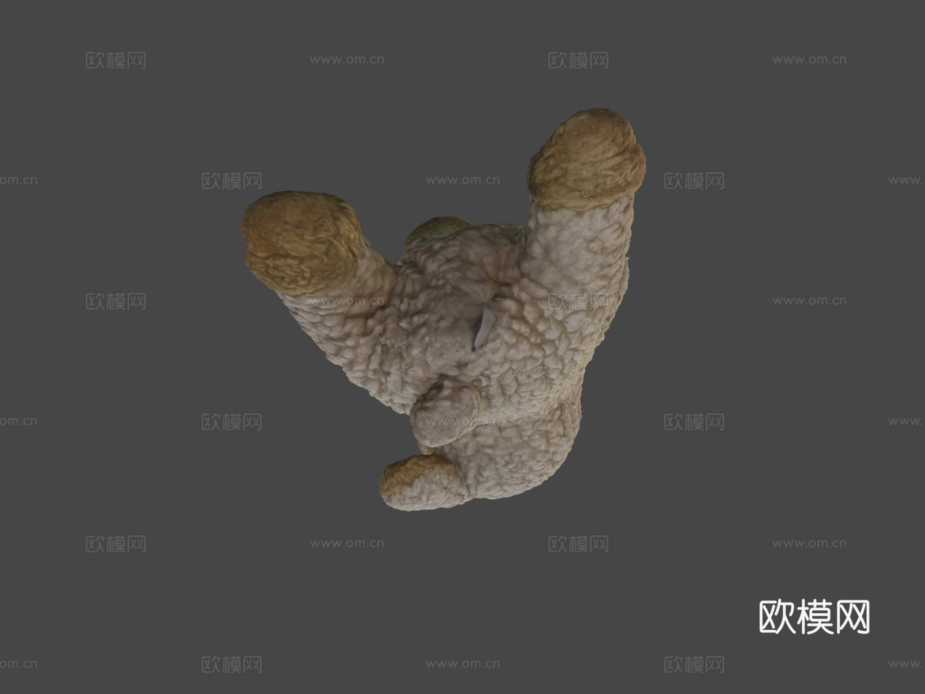 羔羊多相机扫描3d模型下载（渲染图5）